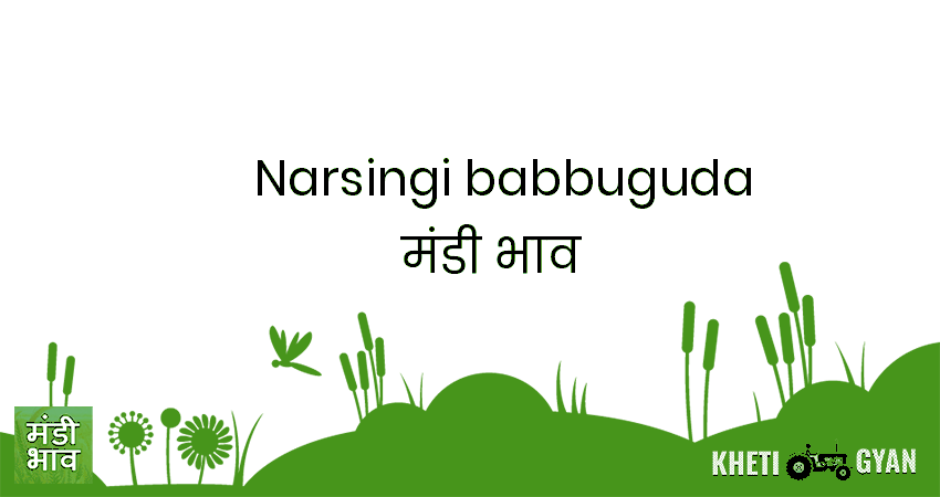 Narsingi(Babbuguda) मंडी भाव की ताज़ा तस्वीर